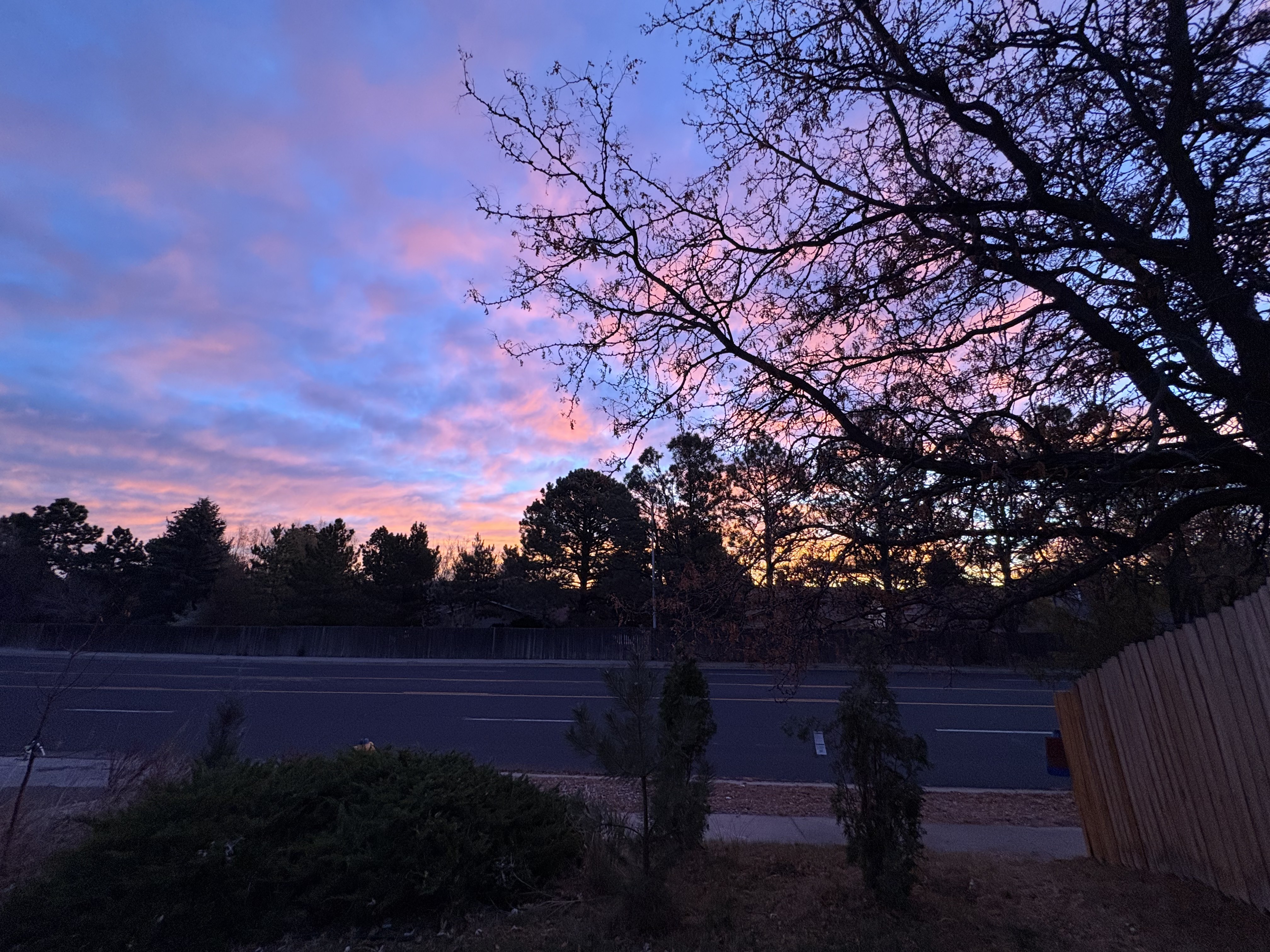 The Neighbor's Pantry